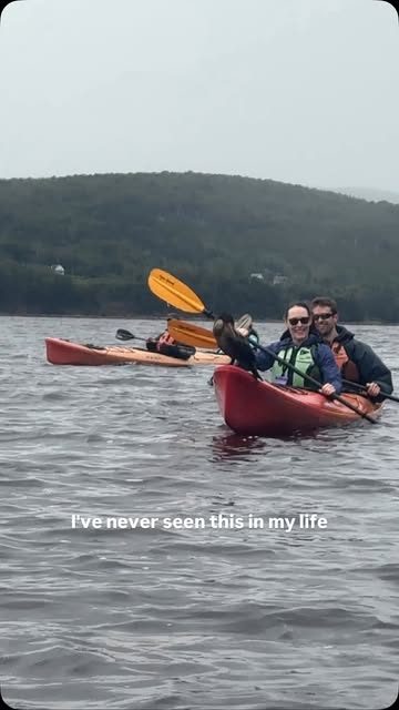 In my 40 years of paddling this is a first! #cormorant #weirdnature #northriverkayaktours #visitnovascotia